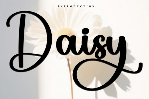 Daisy Font - Featured Image