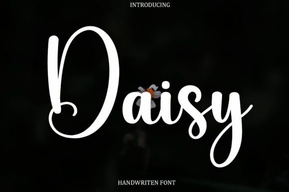 Daisy Font - Featured Image