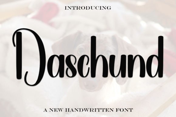 Daschund Font - Featured Image