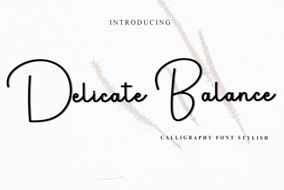 Delicate Balance Font - Featured Image