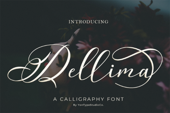 Dellima Font - Featured Image