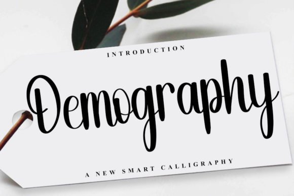 Demography Font - Featured Image