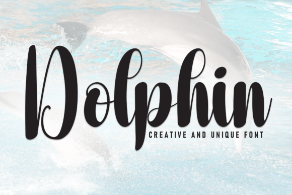 Dolphin Font - Featured Image