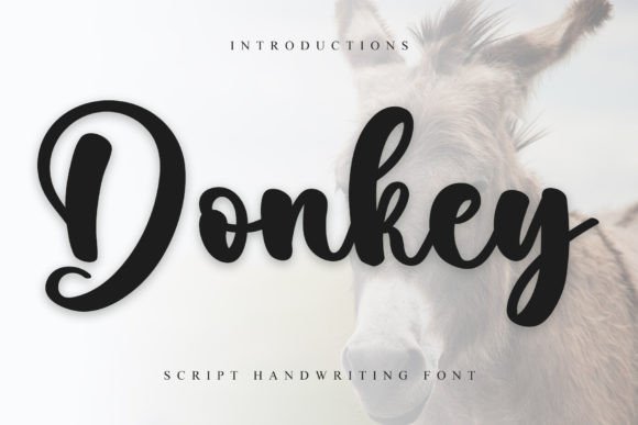 Donkey Font - Featured Image