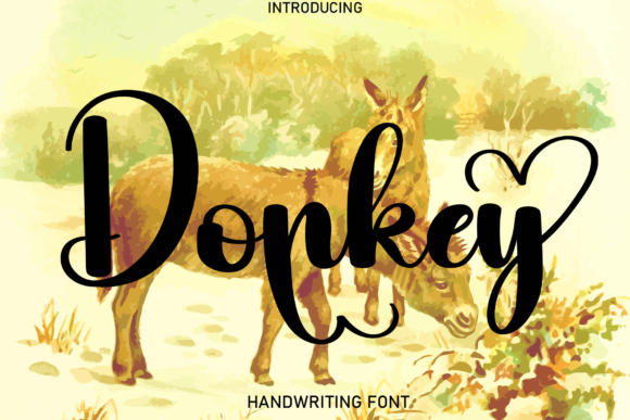 Donkey Font - Featured Image