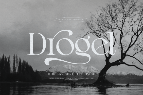 Drogel Font - Featured Image