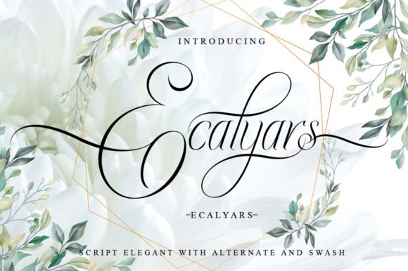 Ecalyars Font - Featured Image
