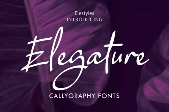 Elegature Font - Featured Image