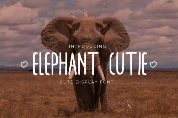 Elephant Cutie Font - Featured Image