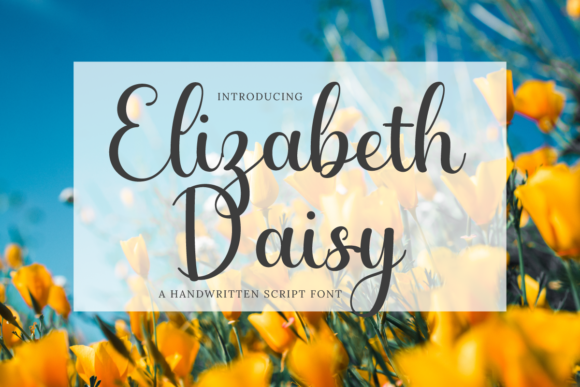 Elizabeth Daisy Font - Featured Image