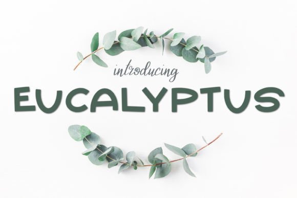 Eucalyptus Font - Featured Image