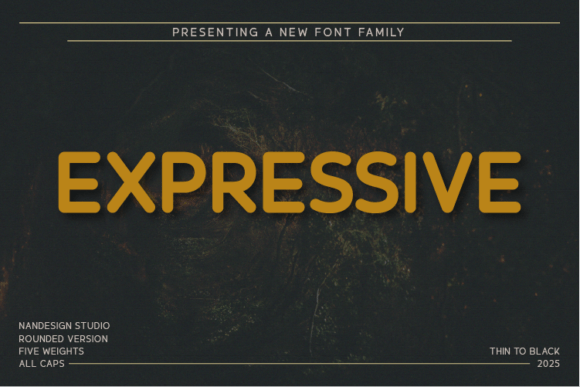 Expressive Rounded Font - Featured Image