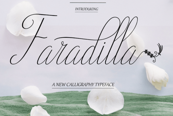 Faradilla Font - Featured Image