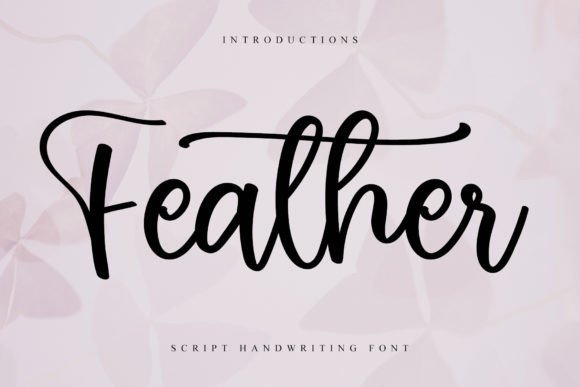 Feather Font - Featured Image