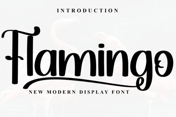 Flamingo Font - Featured Image