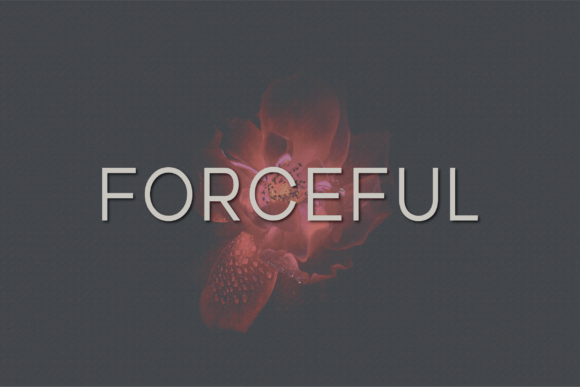 Forceful Font - Featured Image