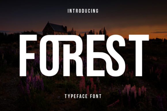 Forest Font - Featured Image