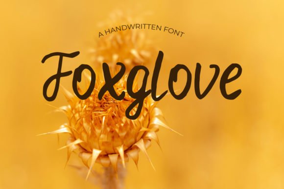 Foxglove Font - Featured Image