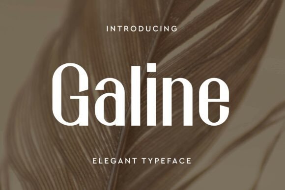 Galine Font - Featured Image