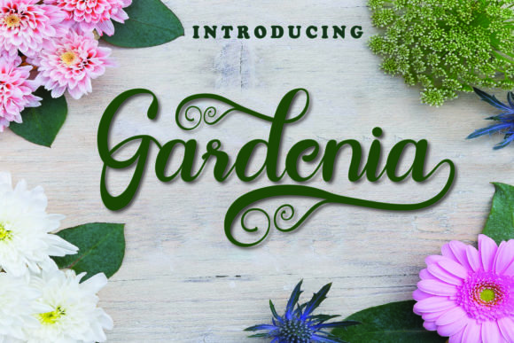 Gardenia Font - Featured Image