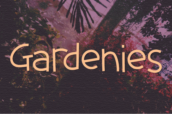 Gardenies Font - Featured Image