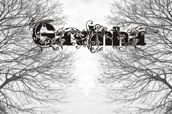 Gavinha Font - Featured Image