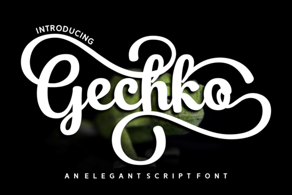 Gechko Font - Featured Image