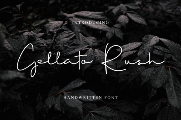 Gellato Rush Font - Featured Image