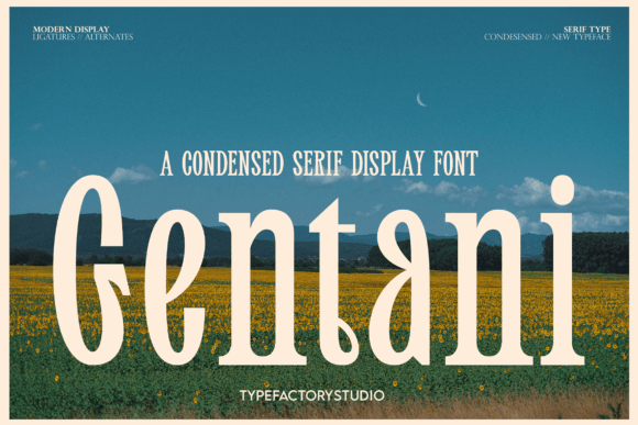 Gentani Font - Featured Image