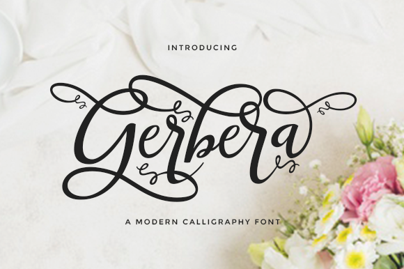 Gerbera Font - Featured Image
