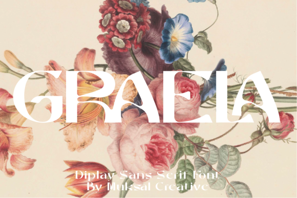Graela Font - Featured Image