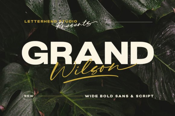 Grand Wilson Font - Featured Image