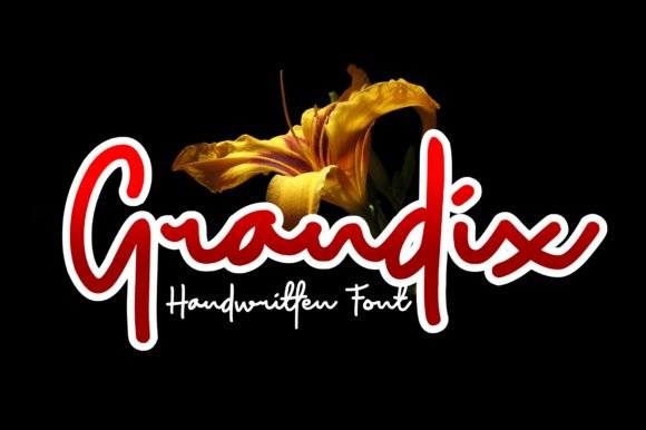 Grandix Font - Featured Image