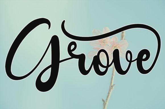 Grove Font - Featured Image