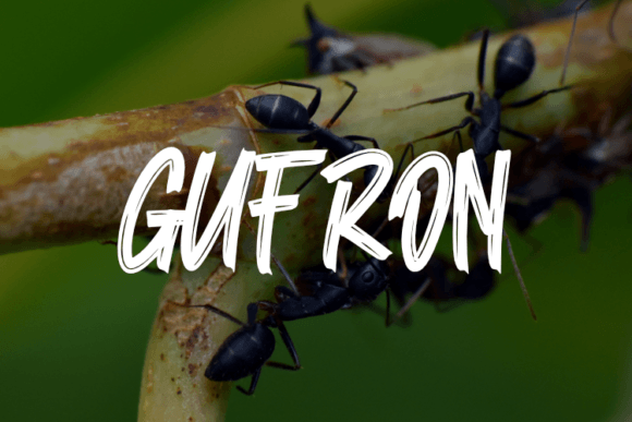 Gufron Font - Featured Image