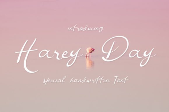 Harey Day Font - Featured Image