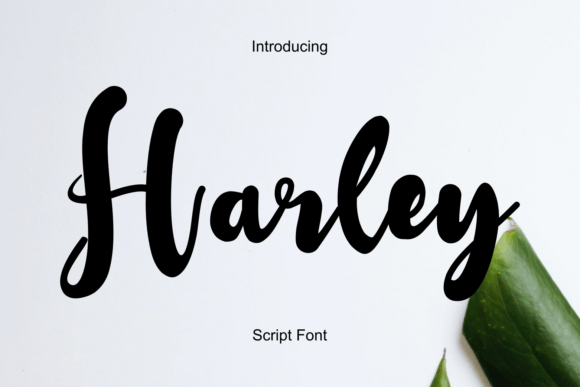 Harley Font - Featured Image