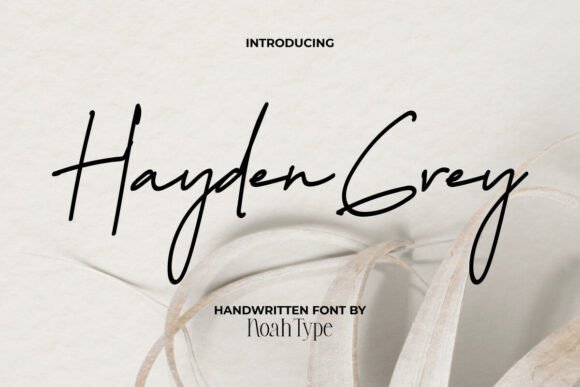 Hayden Grey Font - Featured Image
