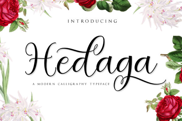 Hedaga Font - Featured Image