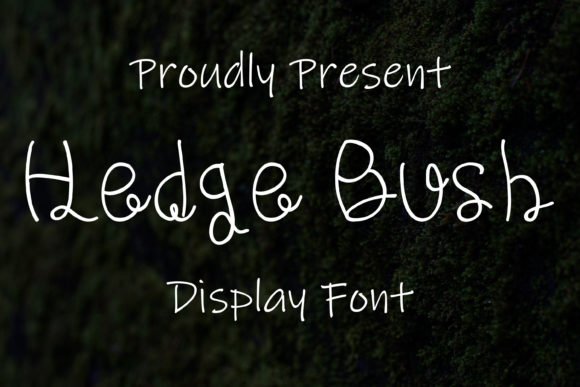 Hedge Bush Font - Featured Image