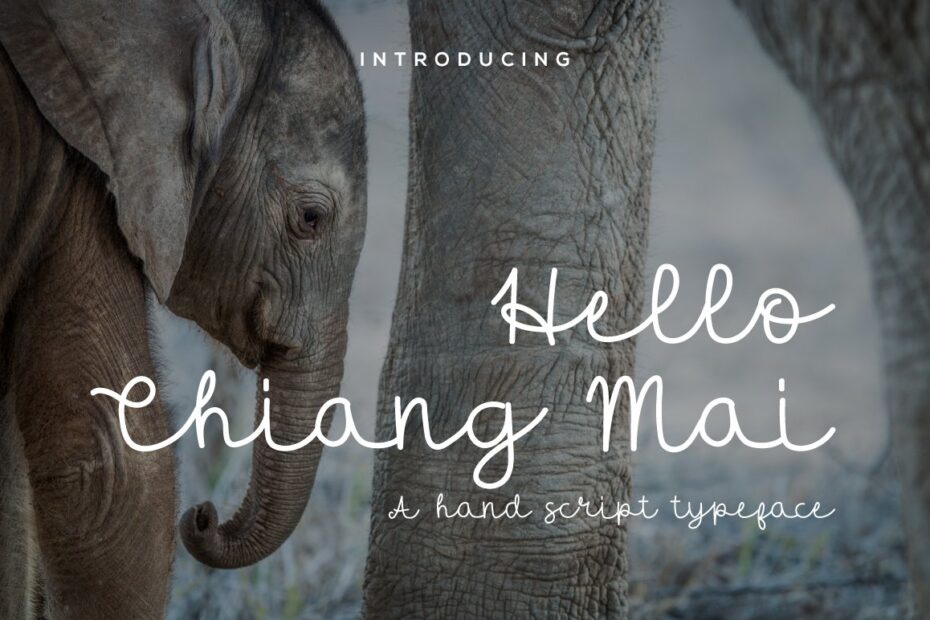 Hello Chiang Mai Font - Featured Image