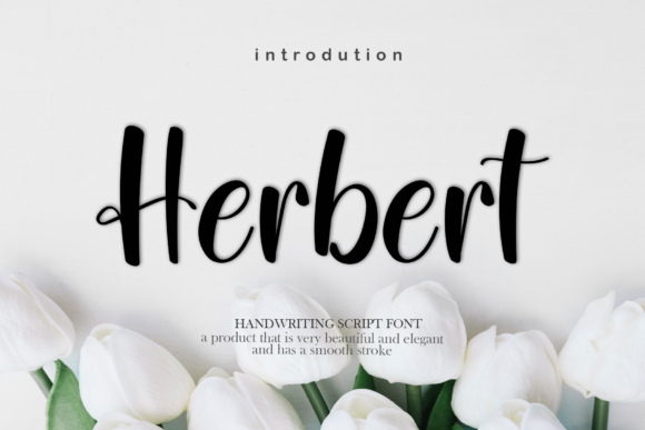 Herbert Font - Featured Image