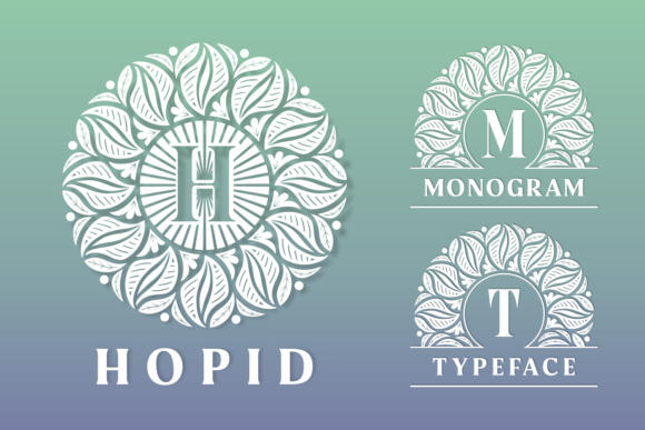 Hopid Font - Featured Image