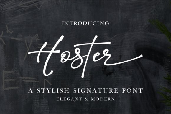 Hoster Font - Featured Image