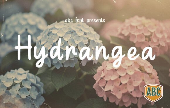 Hydrangea Font - Featured Image