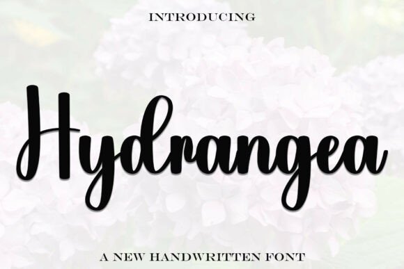 Hydrangea Font - Featured Image