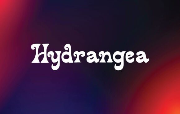 Hydrangea Font - Featured Image