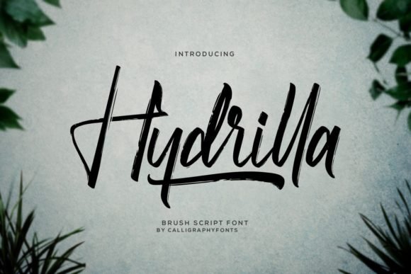 Hydrilla Font - Featured Image