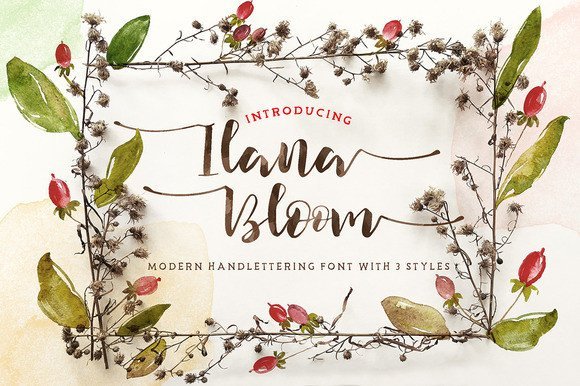Ilana Bloom Font - Featured Image