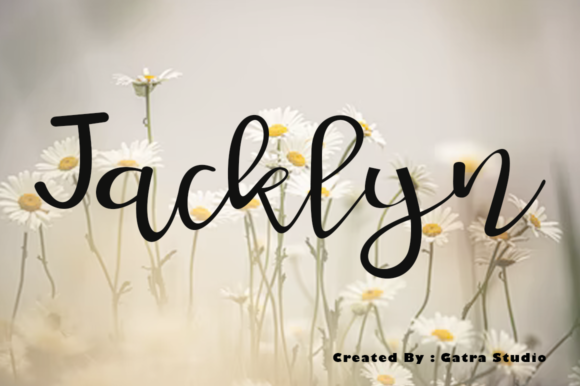 Jacklyn Font - Featured Image